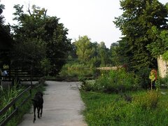 Asociere pentru camin de batrani in vila pe malul